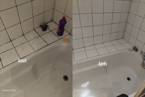 Nettoyage de toilette